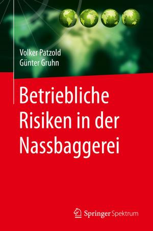 Cover of the book Betriebliche Risiken in der Nassbaggerei by Bernd Sprenger, Peter Joraschky
