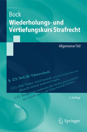 Cover of the book Wiederholungs- und Vertiefungskurs Strafrecht by F. Eckstein, B. Merz, C.R. Jacobs