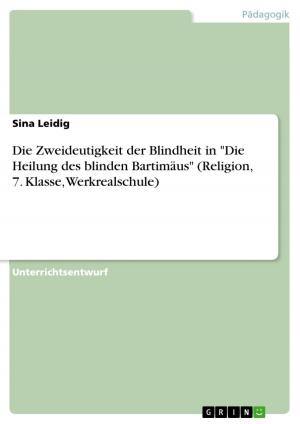 Book cover of Die Zweideutigkeit der Blindheit in 'Die Heilung des blinden Bartimäus' (Religion, 7. Klasse, Werkrealschule)