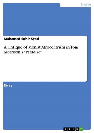 Cover of the book A Critique of Monist Afrocentrism in Toni Morrison's 'Paradise' by Balthasar de Bonnecorse