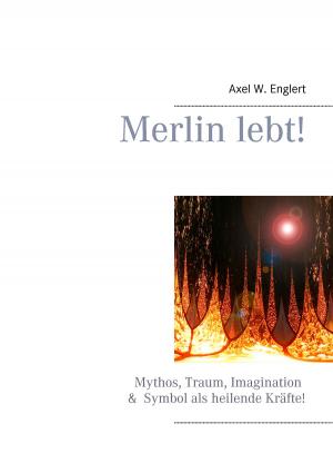 Cover of the book Merlin lebt! by Kurt Dröge