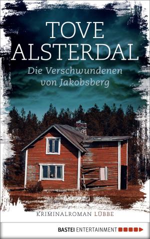 Cover of the book Die Verschwundenen von Jakobsberg by David Weber