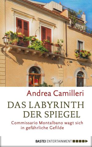 Cover of the book Das Labyrinth der Spiegel by Neil Gaiman
