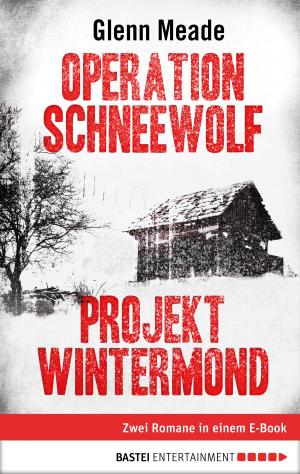 Cover of the book Operation Schneewolf/Projekt Wintermond by Stefan Frank