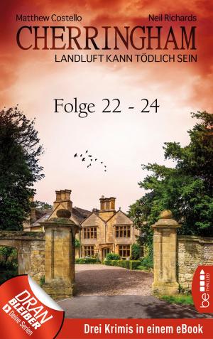 Book cover of Cherringham Sammelband VIII - Folge 22-24
