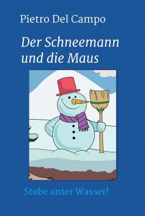 Cover of the book Der Schneemann und die Maus by Peter Stamm