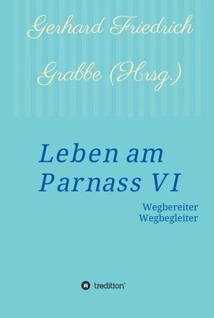 Cover of the book Leben am Parnass VI by Reinhold Urmetzer