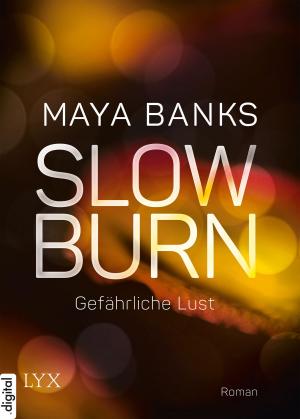 Cover of the book Slow Burn - Gefährliche Lust by Lisa Renee Jones