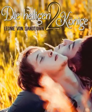 Cover of the book Die heiligen 2 Könige by Jarko Lee