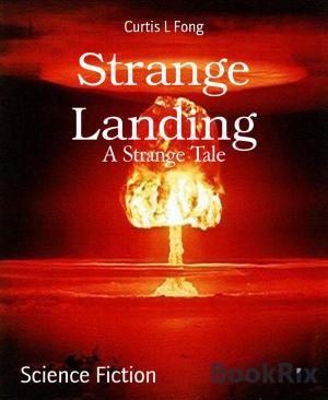 Cover of the book Strange Landing by Raj Mohan