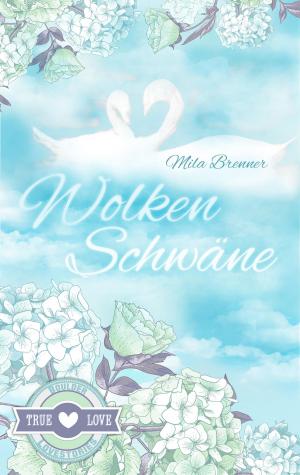 Book cover of Wolkenschwäne