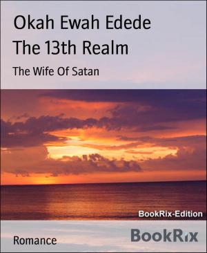 Cover of the book The 13th Realm by Alastair Macleod