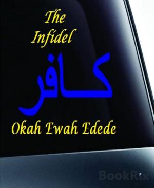 Cover of the book The Infidel by S. E. McKinley