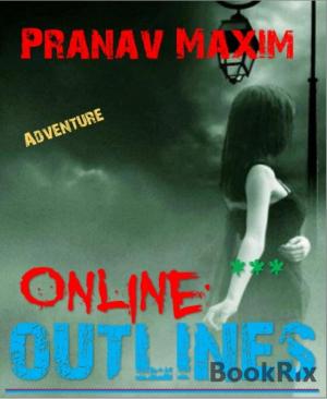 Cover of the book Online Outlines by Bert de Ruiter