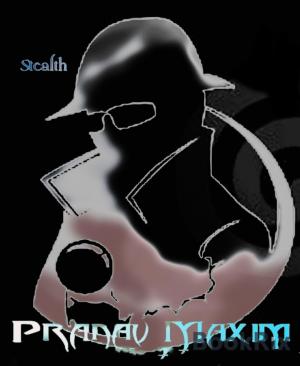 Cover of the book Stealth by Hendrik M. Bekker