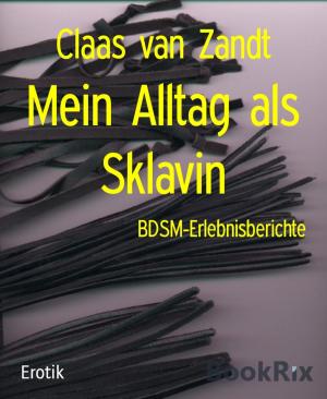 Cover of the book Mein Alltag als Sklavin by Friedrich Gerstäcker