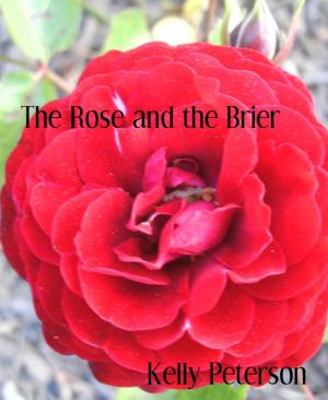 Cover of the book The Rose and the Brier by Anand Bose