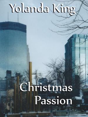 Book cover of Christmas Passion