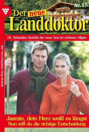 Cover of the book Der neue Landdoktor 17 – Arztroman by U.H. Wilken
