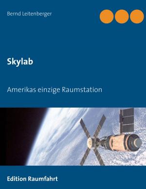 Cover of the book Skylab by Anne-Katrin Straesser