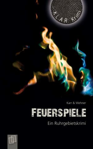Cover of the book Feuerspiele by Alexandra Ferrarÿ