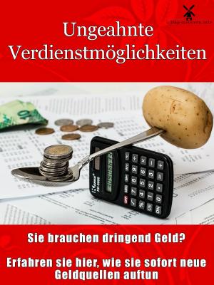 Cover of the book Ungeahnte Verdienstmöglichkeiten by Kurt Dröge