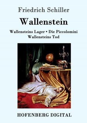 Cover of the book Wallenstein by Wilhelm Hauff