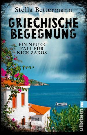 Cover of the book Griechische Begegnung by Åke Edwardson