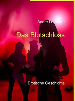 Cover of the book Das Blutschloss by Colin Bear