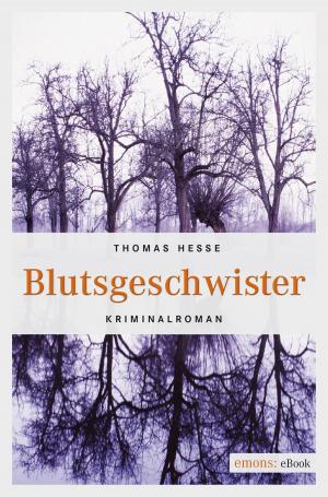 Cover of the book Blutsgeschwister by Martin Schüller