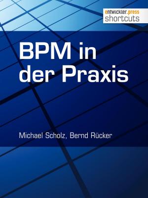 Book cover of BPM in der Praxis
