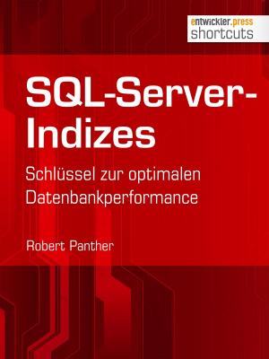 Cover of the book SQL-Server-Indizes by Stephan Elter