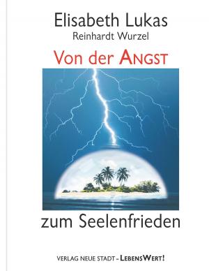 Cover of the book Von der Angst zum Seelenfrieden by Mobolaji Adeyemi