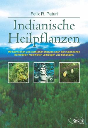 Cover of the book Indianische Heilpflanzen by Bettina Hausmann