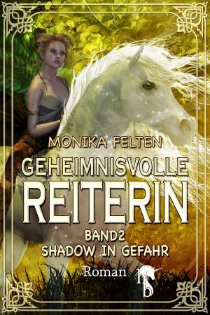 Cover of the book Geheimnisvolle Reiterin by Rainer Erler