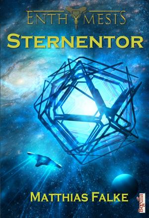 Cover of the book Sternentor by Bernhard Giersche, Martin Janzik
