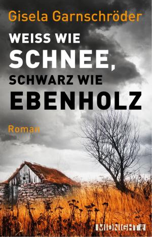Cover of the book Weiß wie Schnee, schwarz wie Ebenholz by Sandra Hausser
