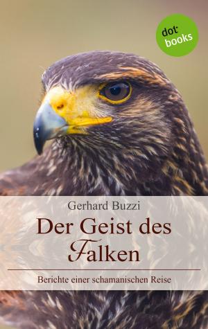 Cover of the book Der Geist des Falken by Xenia Jungwirth
