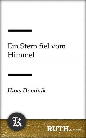 Cover of the book Ein Stern fiel vom Himmel by Oscar Wilde