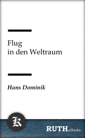 Cover of the book Flug in den Weltraum by Franz Grillparzer