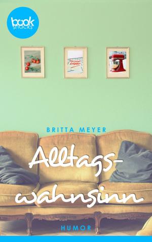 Cover of the book Alltagswahnsinn by Britta Meyer