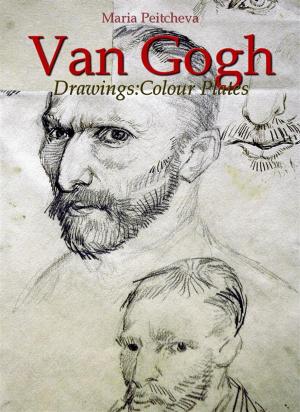 Book cover of Van Gogh Drawings:Colour Plates