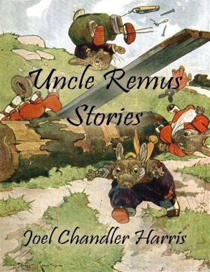 Book cover of Uncle Remus Stories
