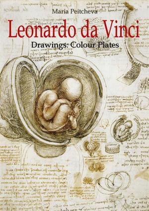 Book cover of Leonardo da Vinci Drawings: Colour Plates