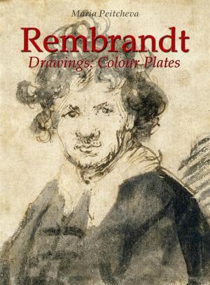 Book cover of Rembrandt Drawings:Colour Plates