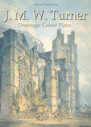 Book cover of J. M. W. Turner Drawings: Colour Plates