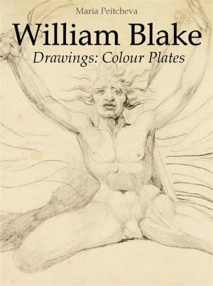 Book cover of William Blake Drawings: Colour Plates