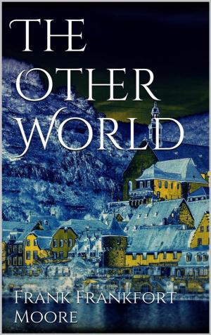 Cover of the book The Other World by Stefanie Fife