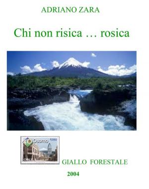 Cover of the book Chi non risica...rosica by Adriano Zara