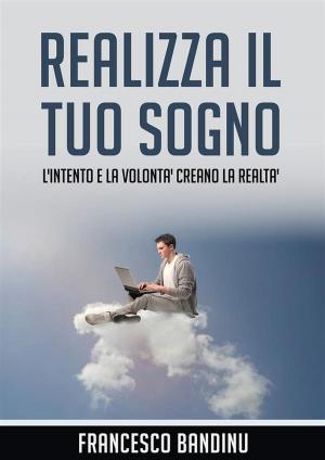Cover of the book Realizza il tuo sogno by Patti Handy